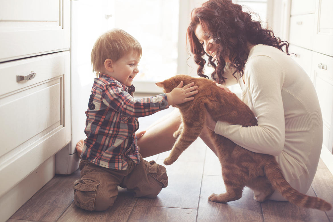 Life & Health Insurance
